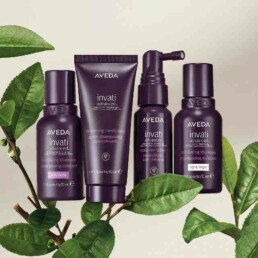 aveda products